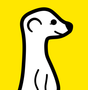 Meerkat is a new app that allows you to stream live video from your phone.