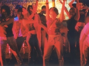 chestnutgroup