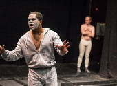 An Octoroon